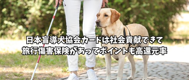 日本盲導犬協会カードは社会貢献できて旅行傷害保険があってポイントも高還元率
