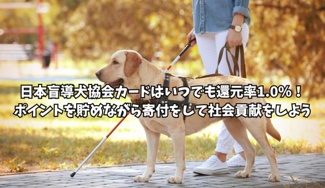 日本盲導犬協会カードはいつでも還元率1.0％！ポイントを貯めながら寄付をして社会貢献をしよう