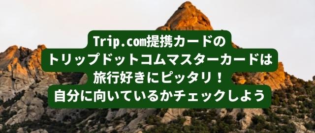 Trip.com提携カードのトリップドットコムマスターカードは旅行好きにピッタリ！自分に向いているかチェックしよう トップ画像